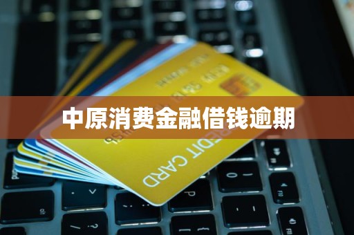 中原消費金融逾期借款催收流程解析 金融機(jī)構(gòu)委托第三方處理的影響與應(yīng)對