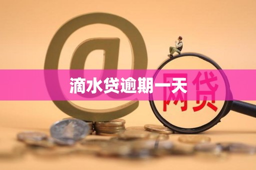 滴水貸逾期一天遭遇金融機(jī)構(gòu)委托 解析其影響與應(yīng)對(duì)策略