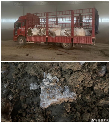 影子暗訪丨起底毒營養土產業鏈（下） 固廢處置資質成空文，工業污泥借水泥車“洗白”入市